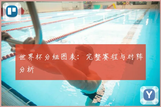 世界杯分组图表：完整赛程与对阵分析