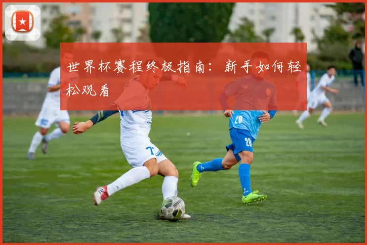 世界杯赛程终极指南：新手如何轻松观看