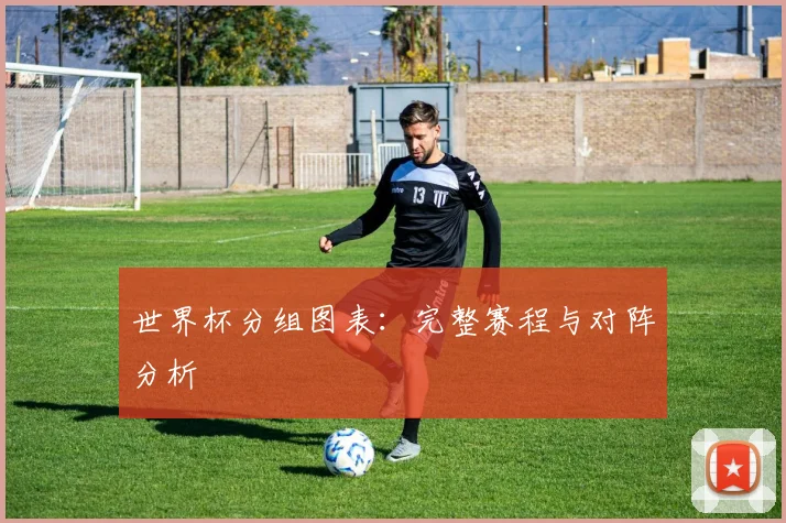 世界杯分组图表：完整赛程与对阵分析